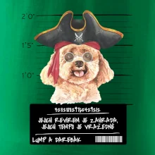 Lump a darebák pudl