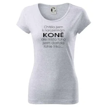 Chtěla jsem dostat k narozeninám koně