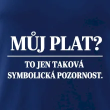 Můj plat? to jen taková symbolická pozornost