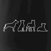 Americký stafordširský teriér v různých pozicích