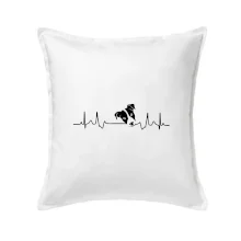 Jack Russell Terriér  - hlava