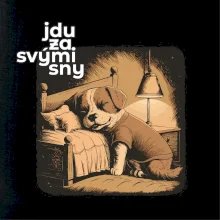 Jdu za svými sny