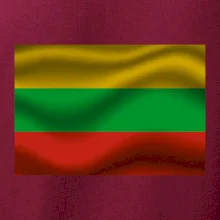 Litva vlajka obdélník