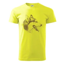 Husky - hlava z boku