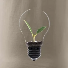 Žárovka květináč
