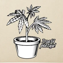 Konopi prostě pěstuju