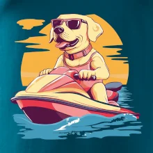 Zlatý retrívr na vodním skútru