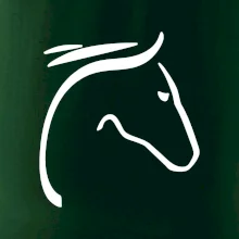 Kůň - hlava silueta