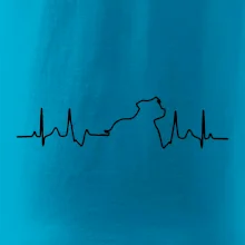 Stafordšírsky bulteriér EKG