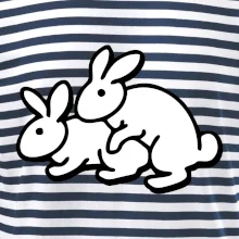 Dupající králící