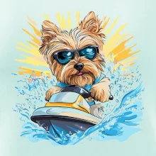 Yorkšírský teriér na vodním skútru