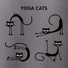 Kočičí jóga (Hana-creative)