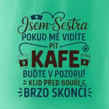 Jsem sestra  - Klid před bouří