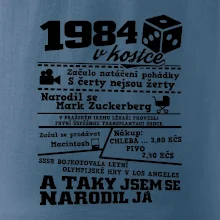 1984 v kostce