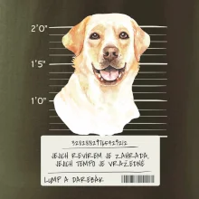 Lump a darebák labrador