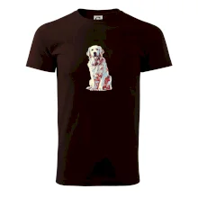 Zlatý retriever vintage