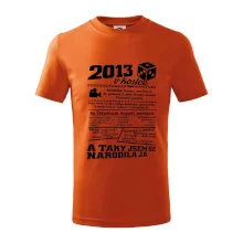 2013 v kostce
