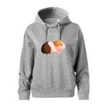 Morče - kreslené z boku