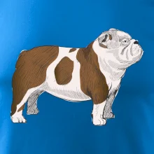 Vintage English bulldog