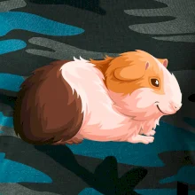 Morče - kreslené z boku