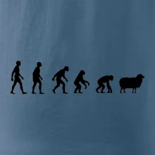 Evoluce ovce