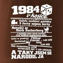 1984 v kostce