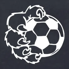 Medvědí tlapa fotbal