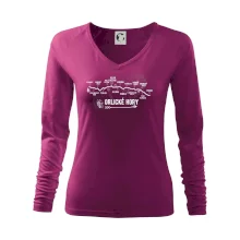 Profil Orlických hor