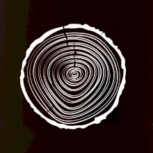 Letokruhy 20 bez věku