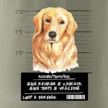 Lump a darebák zlatý retrívr