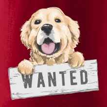 Zlatý retriever - štěně wanted