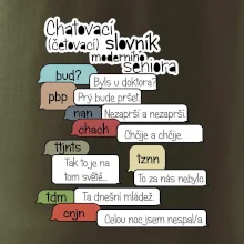 Chatovací slovník moderního seniora (Běžící češtinář)