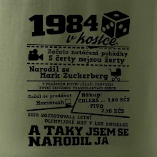 1984 v kostce
