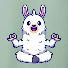 Yoga meditace - lama