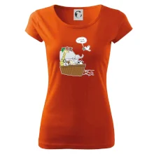 Pravda s Noemovou archou