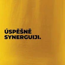 ÚSPĚŠNĚ SYNERGUIJI.