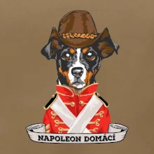 Napoleon domácí pes kříženec