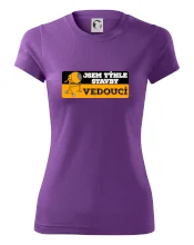 Jsem týhle stavby vedoucí