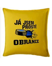 Já jsem prostě obránce (hokej)