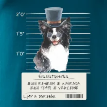 Lump a darebák border kolie