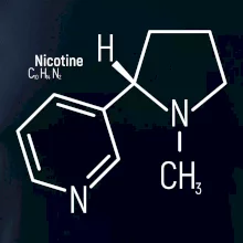 Molekulární struktura Nikotin