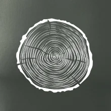 Letokruhy 35 bez věku