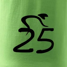 Cyklista slaví pětadvacítku (25)