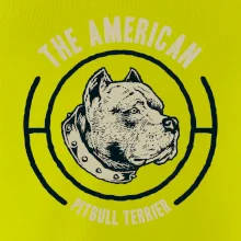 Americký pitbull terier hlava