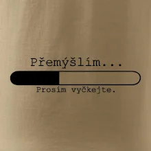 Přemýšlím