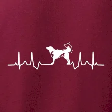 Český strakatý pes EKG