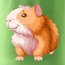 Morče - kreslené, bílo oranžové