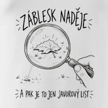 Záblesk naděje