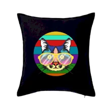 Kočka při barevném západu