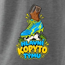 Hlavní kopyto týmu